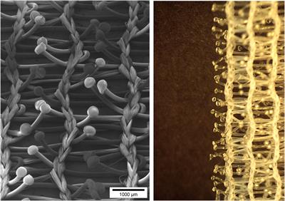 History of the Creation of Self-Gripping Mesh